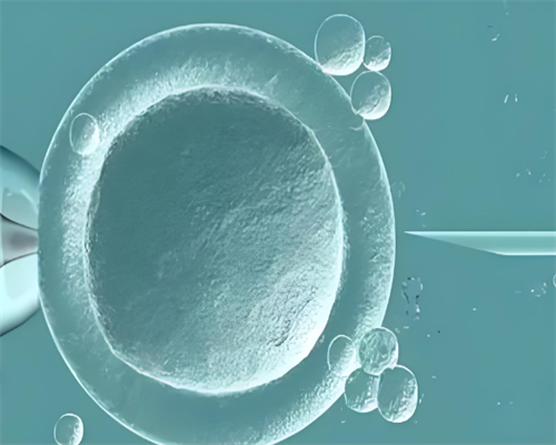 二代试管助孕：精子优选全攻略，助力代生宝宝成功，附费用参考