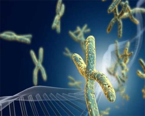 双侧输卵管堵塞影响生育？深度解析试管助孕、供卵代怀的成功率与治疗策略