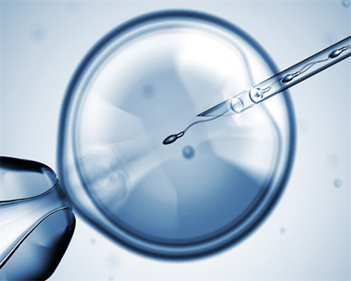 辅助生殖指南：IVF与ICSI促排双方案的全面解析