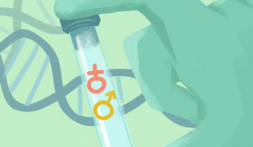 陕西三代代怀助孕：促排卵与供卵费用详细清单