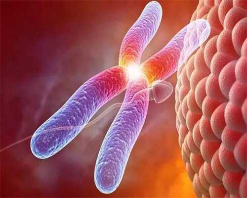 西安三代试管助孕深度解析：代生成功率、关键因素与专业服务选择