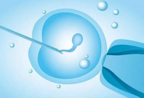 宁夏银川妇幼二代试管助孕成功率：技术、费用与胚胎等级全解读