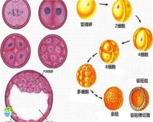女性无法生育？三代试管助孕服务助您实现生儿育女愿望
