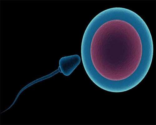 揭秘三代助孕技术：代怀成功率解析与提升指南