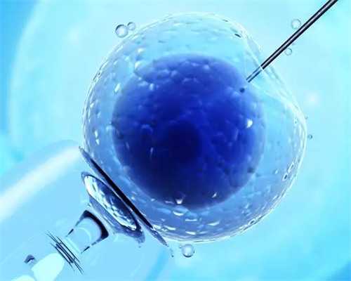 二代试管人工周期：从促排到移植的完整时间线