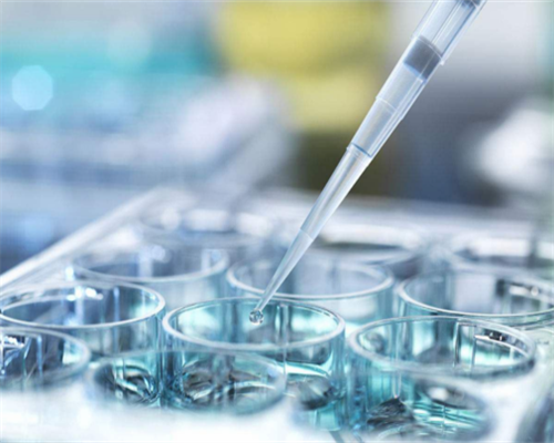 上海第二代试管助孕双胞胎费用解析：代生代怀所需预算指南