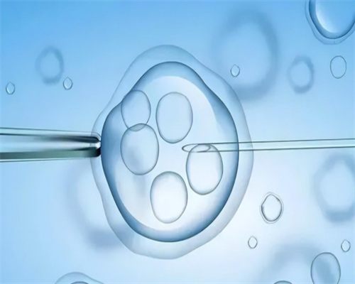 哈萨克斯坦代生中心：探析成功率、助孕服务与供卵费用