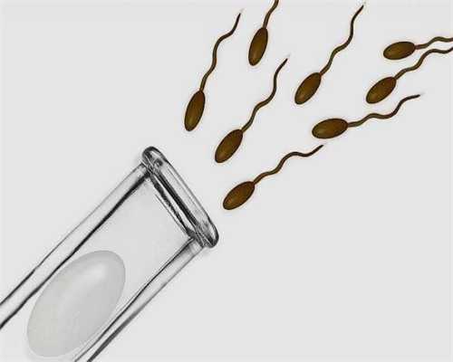 合肥第三代试管助孕：探寻高成功率与费用透明的专业机构