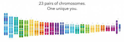 福州妇幼代生医生挑选，二代助孕诊疗推荐