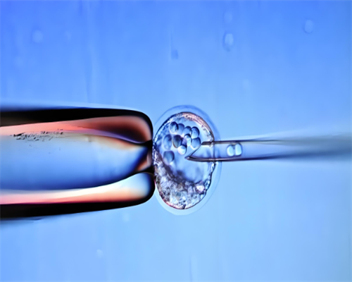 第二代辅助生殖费用：代生助孕过程明细与预算