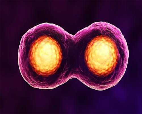 高龄助孕：甘肃45岁女性供卵代生成功率与费用深度解析